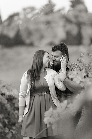 Apple Hill Engagement Photos