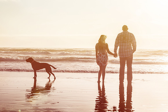 Engagement-142