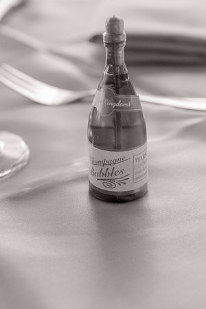 WEDDING-0467