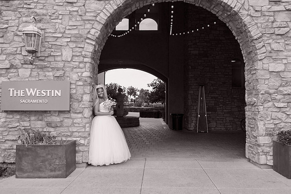 WEDDING-0173