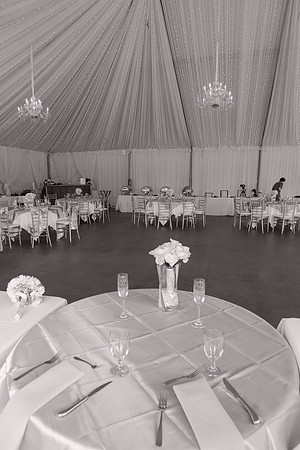 WEDDING-0469