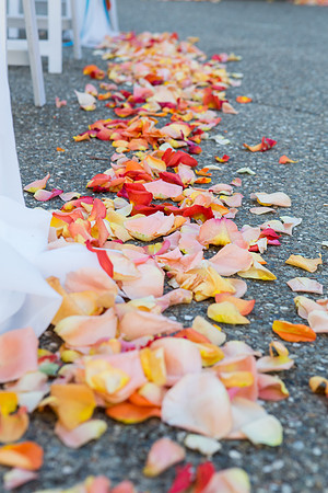 Wedding-108