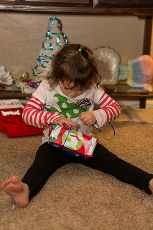 2014-Christmas-082