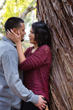 Old Sacramento Engagement Photos