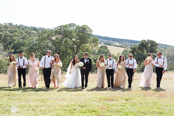 Wedding-226