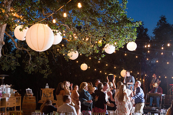 Wedding-513