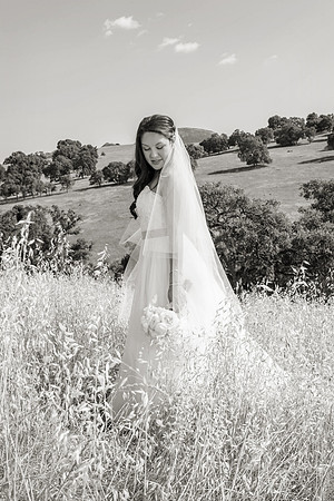 Enhanced-101-BW