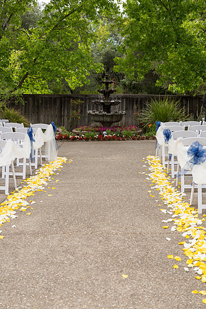 Wedding-170