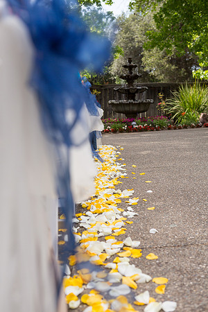 Wedding-184