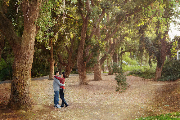 Engagement-26