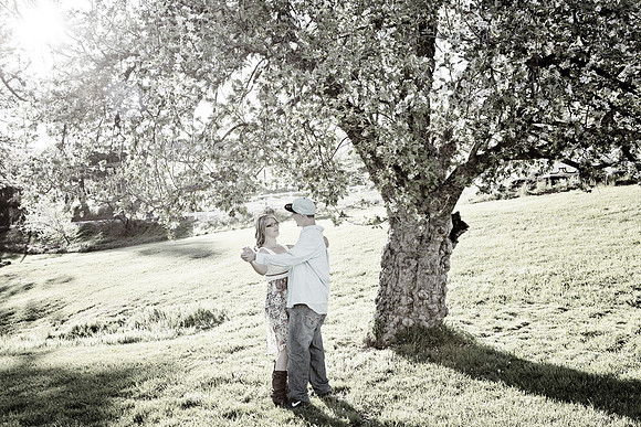 Apple Hill Engagement Photos