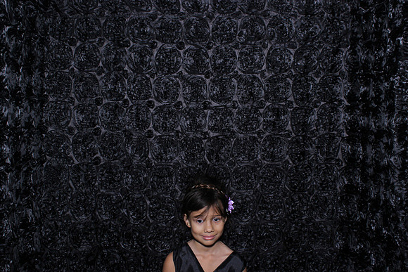 Roseville Photo Booth Rentals