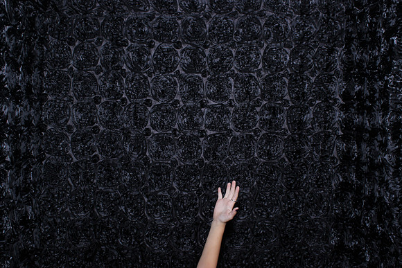 Roseville Photo Booth Rentals