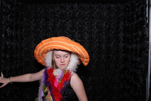 Roseville Photo Booth Rentals