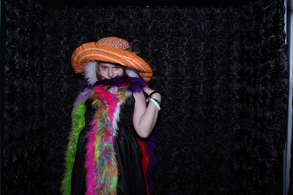 Roseville Photo Booth Rentals