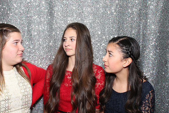 Photo Booth Rentals Woodland