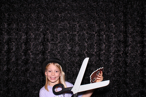 Photo Booth Rentals Roseville