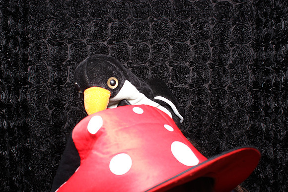 Photo Booth Rental Sacramento