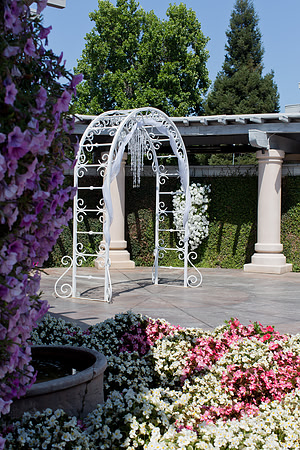 Wedding-031