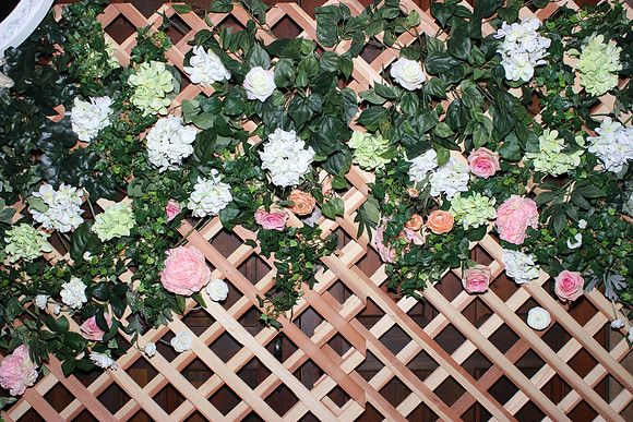 Photo Booth Rentals Miner's Foundry