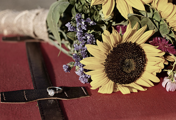 Country Engagement Photos with horses