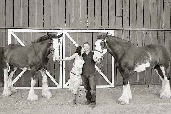 Country Engagement Photos with horses