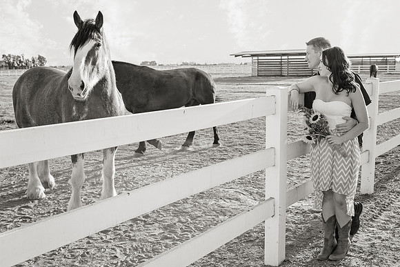 Country Engagement Photos with horses
