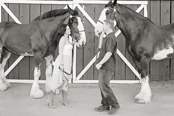 Country Engagement Photos with horses