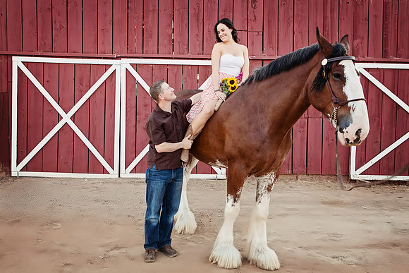 Country Engagement Photos with horses