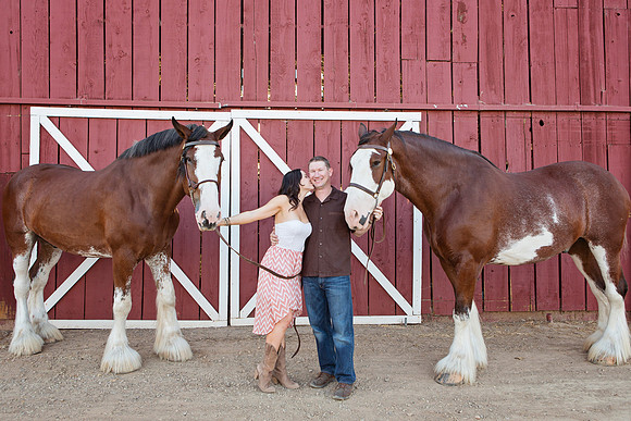 Country Engagement Photos with horses