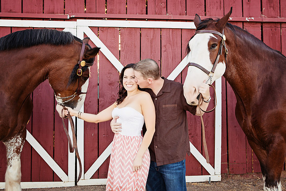 Country Engagement Photos with horses