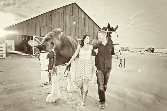 Country Engagement Photos with horses