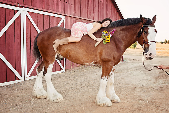 Country Engagement Photos with horses