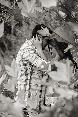 Engagement Photos on Covered Bridge