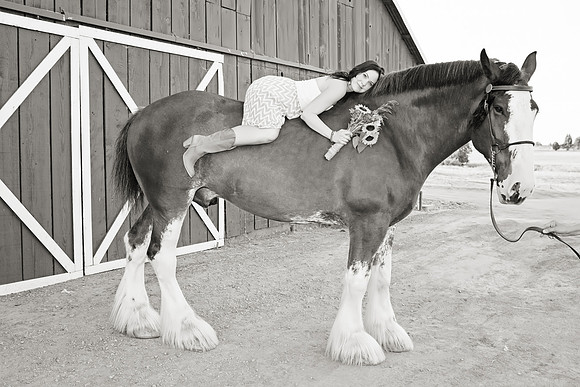 Country Engagement Photos with horses