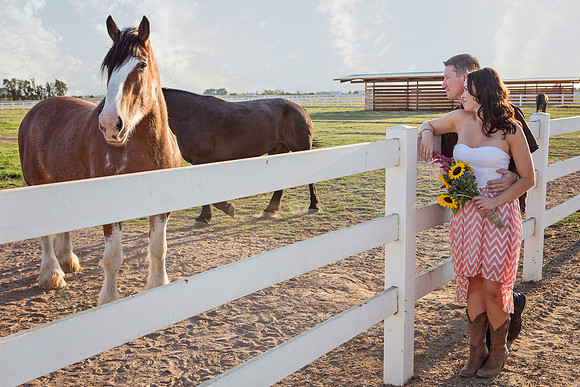 Country Engagement Photos with horses