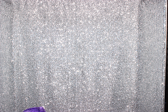 Photo Booth Rentals