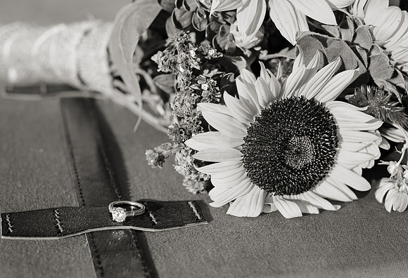 Country Engagement Photos with horses
