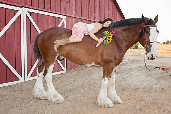 Country Engagement Photos with horses