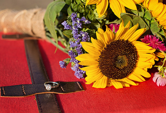 Country Engagement Photos with horses
