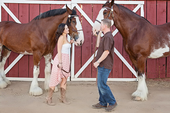 Country Engagement Photos with horses