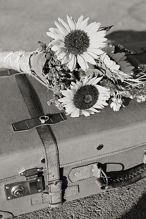 Country Engagement Photos with horses