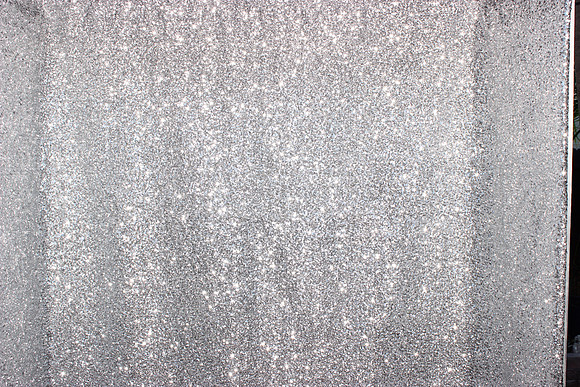 Photo Booth Rentals