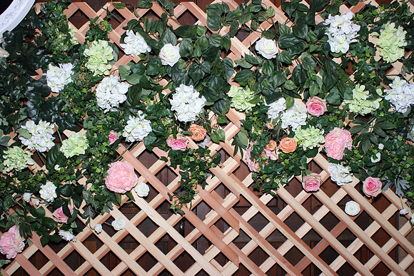 Photo Booth Rentals Miner's Foundry