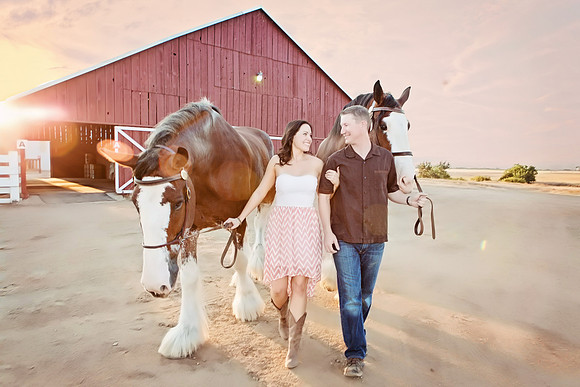 Country Engagement Photos with horses