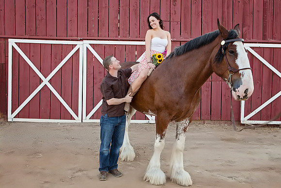 Country Engagement Photos with horses