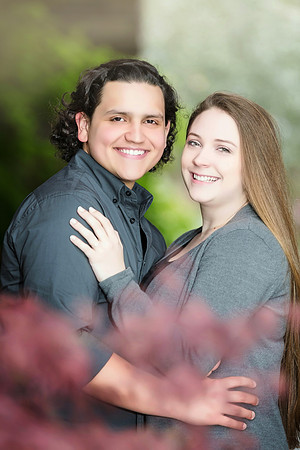 Sacramento Engagement Photography
