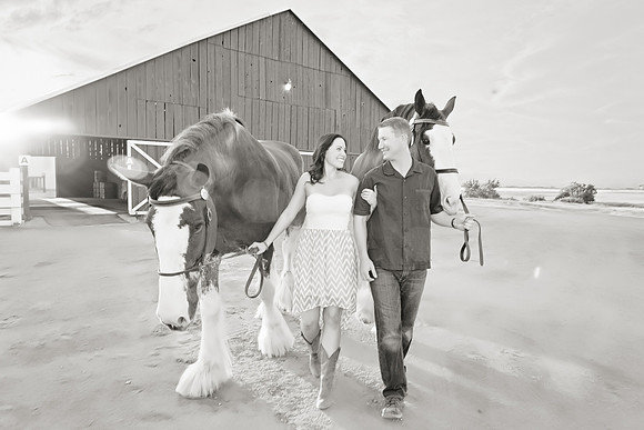 Country Engagement Photos with horses