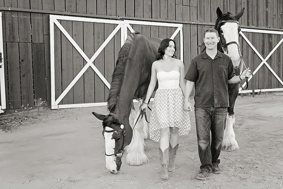 Country Engagement Photos with horses