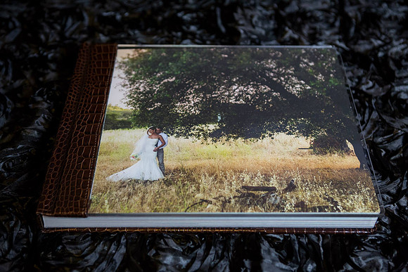 Acrylic Album